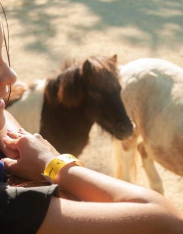 BANNER-9
