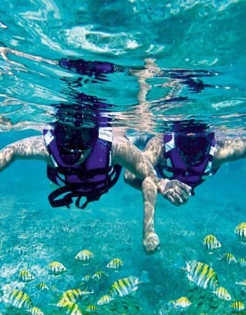 Snorkeling (1)